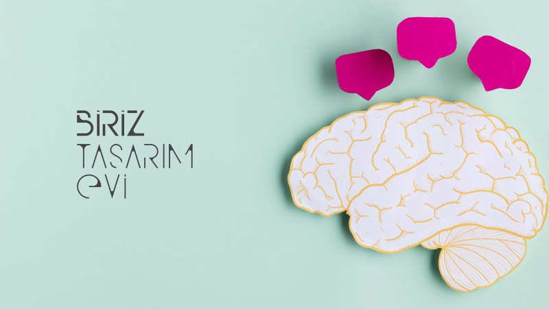 Губка в виде мозга