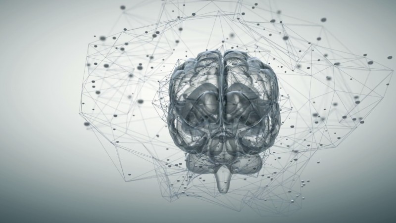 Мозги сердце и храбрость