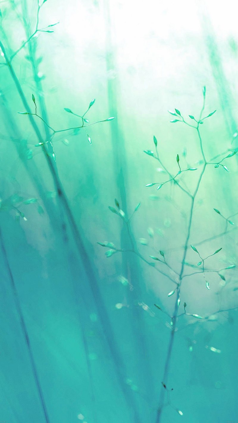 Бирюзовые обои