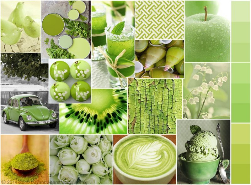 Зеленый цвет коллаж
