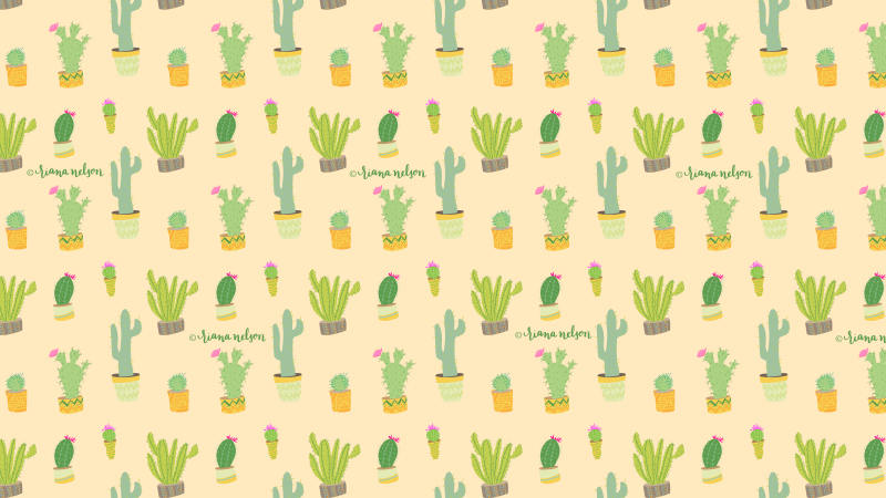 Кактусы на рабочий стол