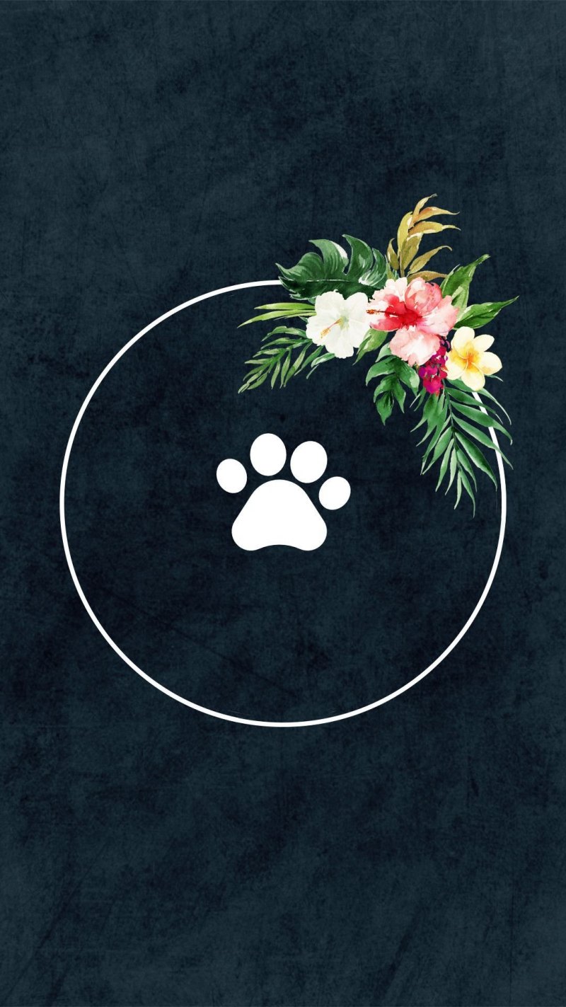 Фоны для сторис в Инстаграм актуальное