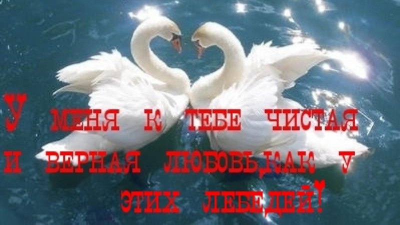 Поздравления с годовщиной отношений открытки