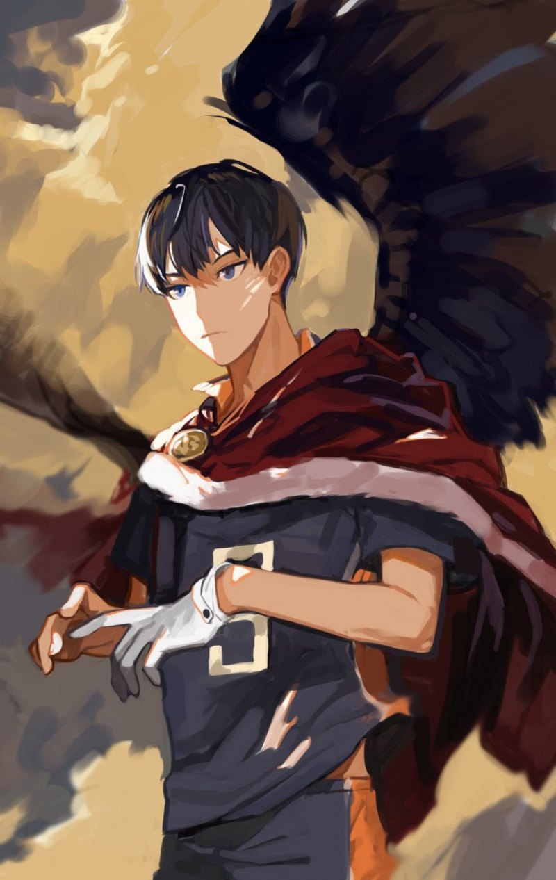 Аниме волейбол Кагеяма Тобио