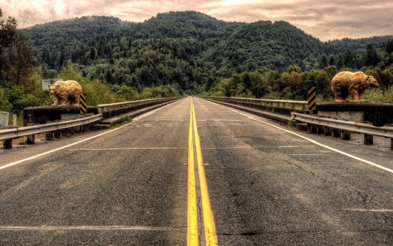 Красивая дорога