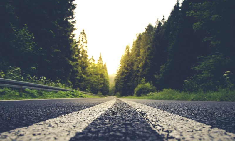 Дорога асфальт природа