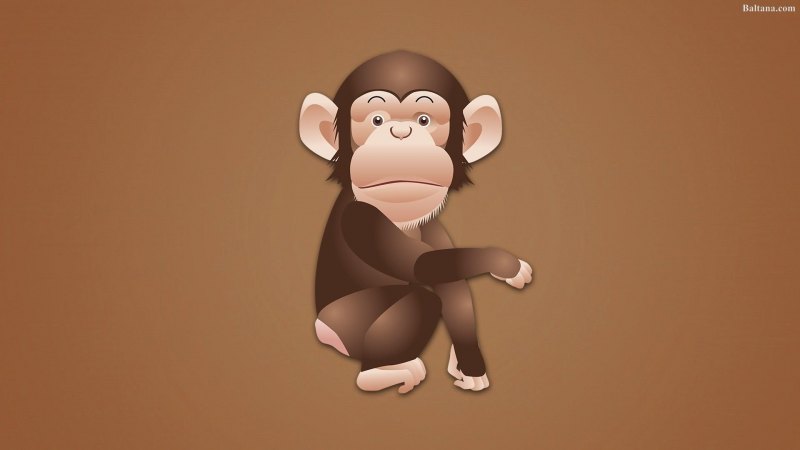 Обезьяна обои