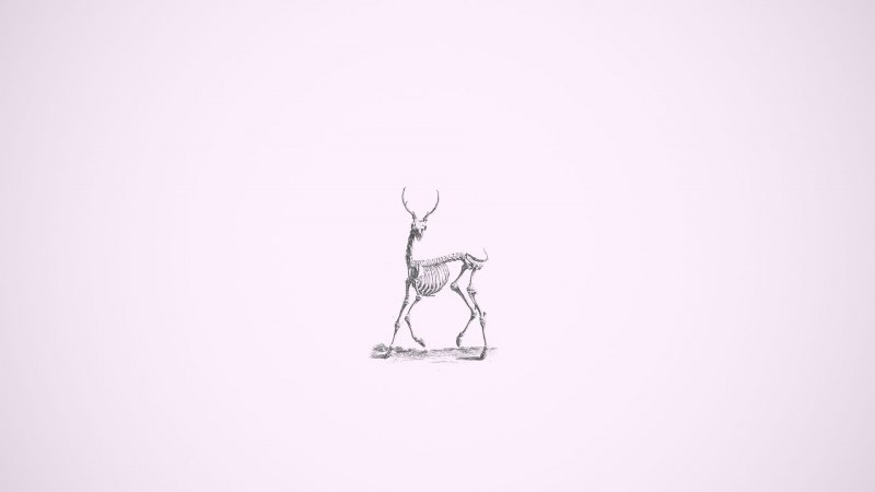 Обои Минимализм