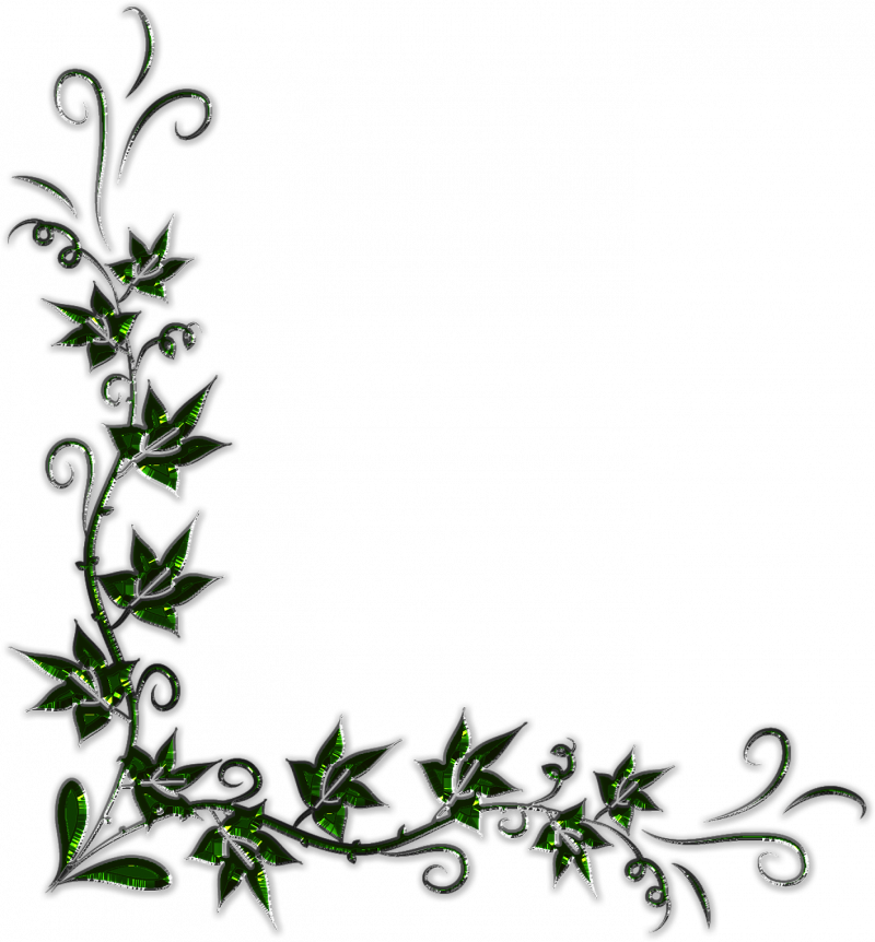 Цветы уголок