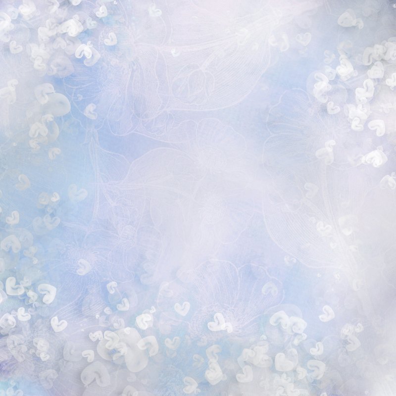 Фон для портрета однотонный