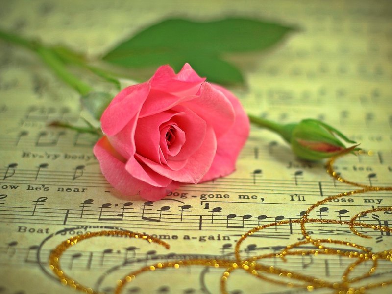 Розы и Ноты