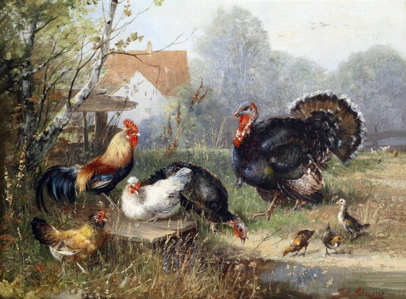 Птичий двор Заболоцкий