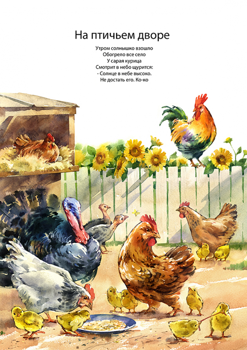 Птичий двор Нищева