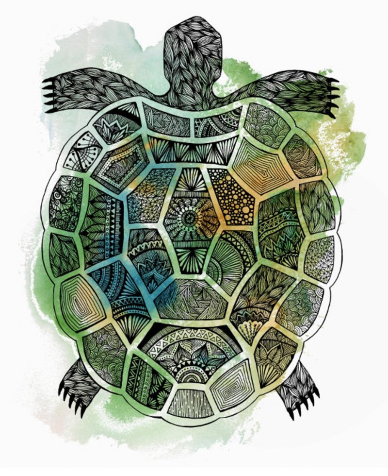 Черепаха арт