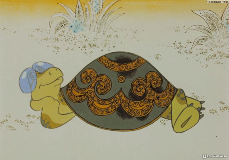 Черепаха Тортилла