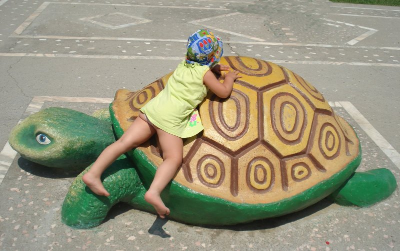 Фотоконкурс я на солнышке лежу