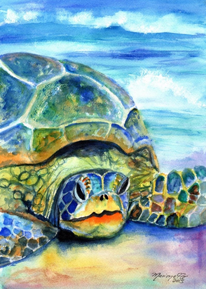 Черепаха рисунок
