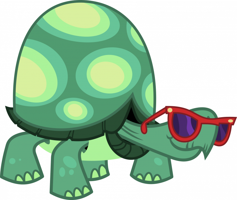 Черепаха в очках
