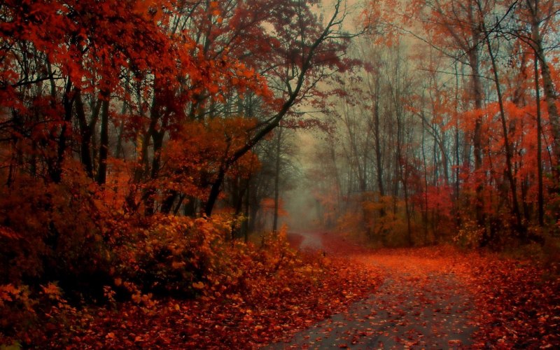 Заставка на рабочий стол осень