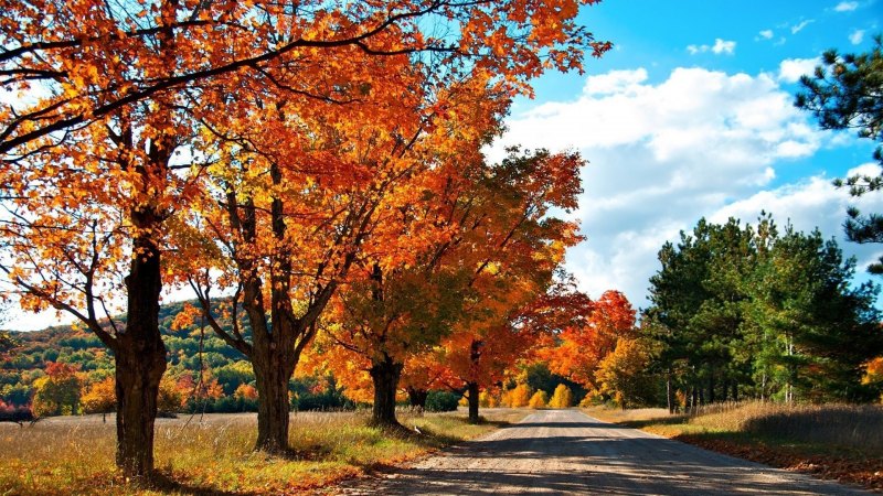 Золотая осень