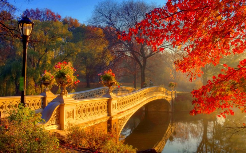 Осень в парке