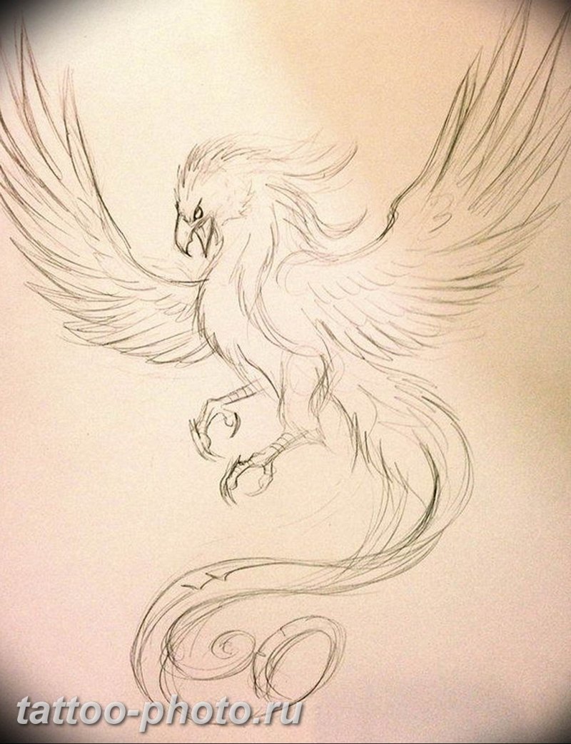 Хумо Симург птица