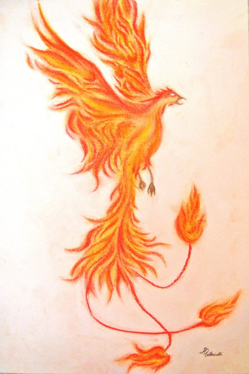 Феникс рисунок карандашом