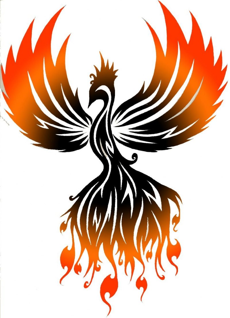 Феникс для рисования