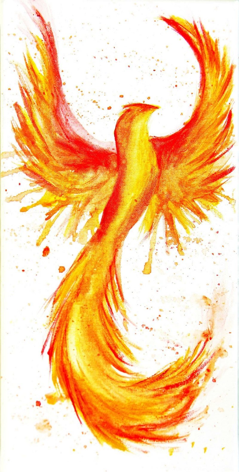 Феникс черно белый