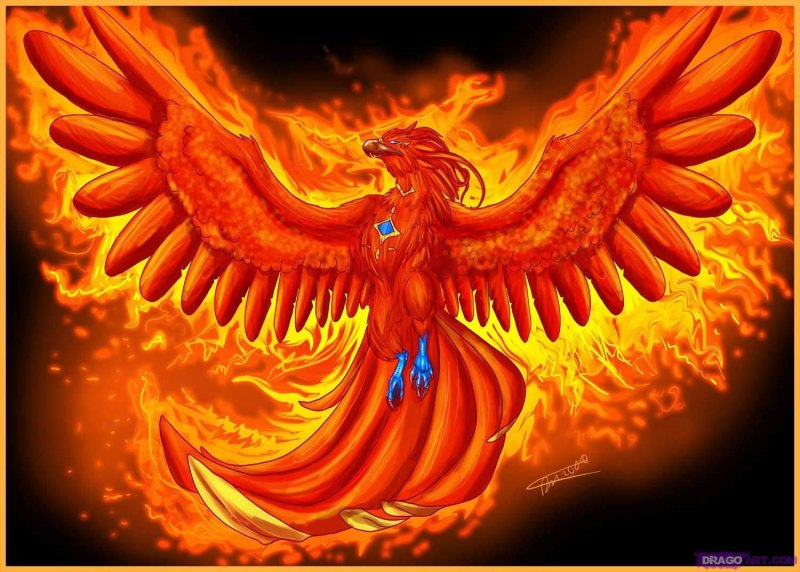 Феникс Перерождение