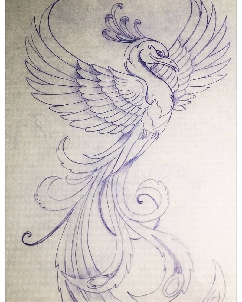 Феникс раскраска