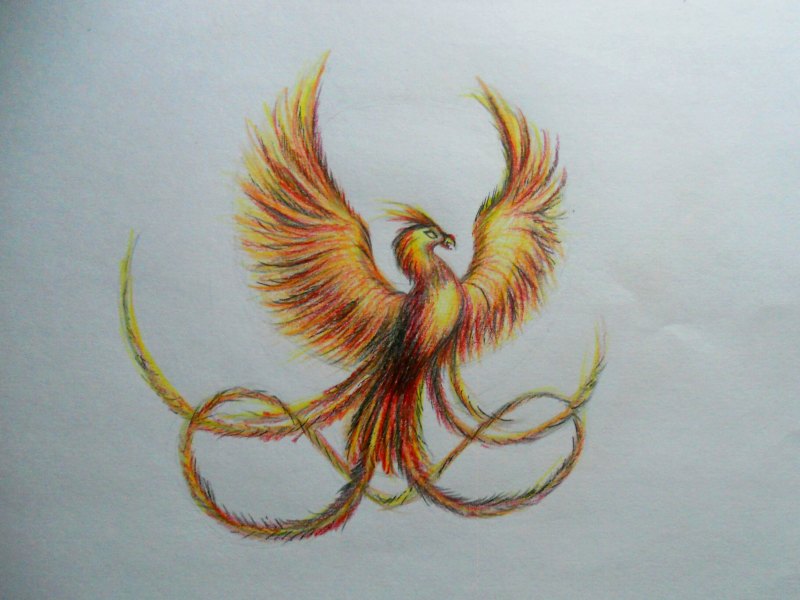 Тату птица Феникс трайбл