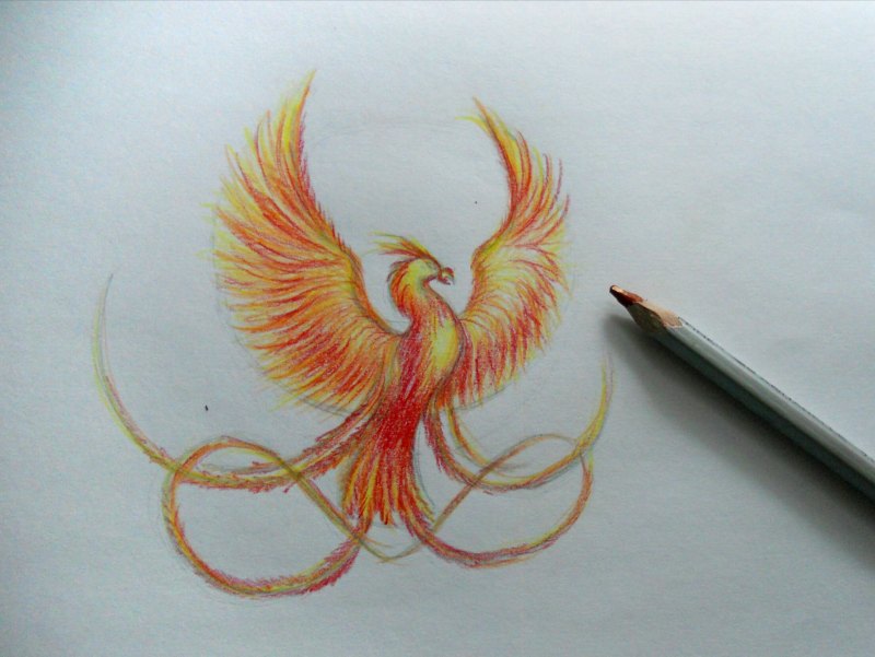 Феникс эскиз цветной
