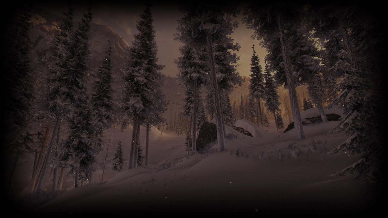 Фоны стим с лесом