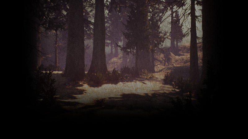 Фон профиля стим лес