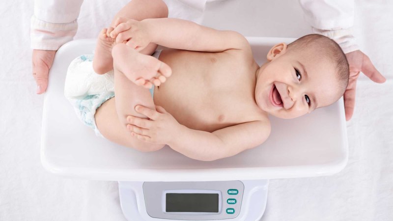 Замеры антропометрии