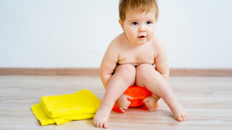 Антропометрия и эргономика в архитектуре