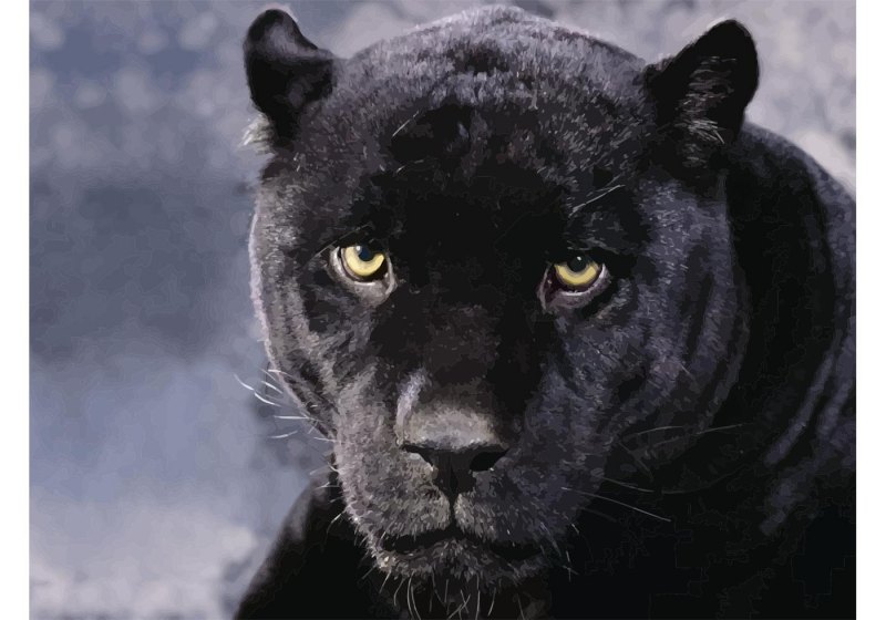 Картина по номерам черная пантера