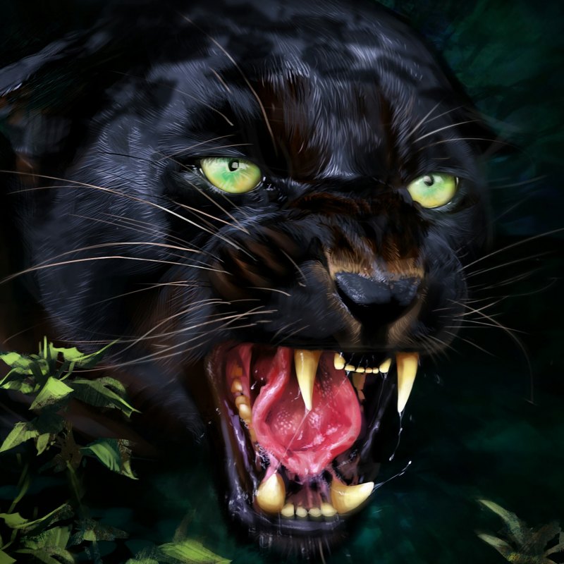 Морда пантеры на черном фоне