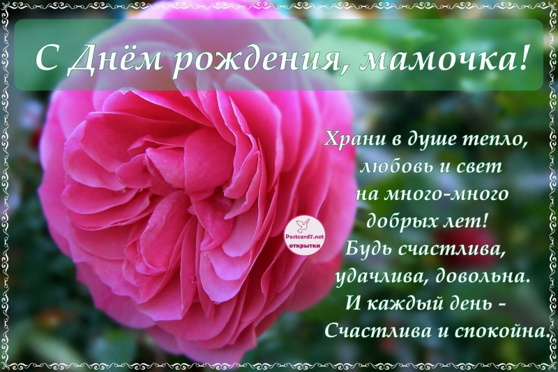 Красивое поздравление для взрослой дочери