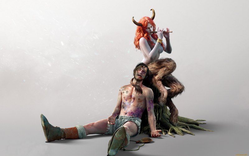 Witcher 3 суккуб