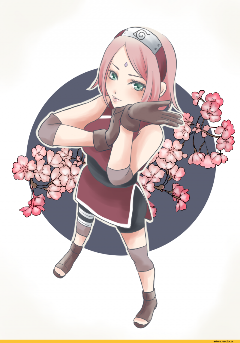 Наруто персонажи Сакура Харуно