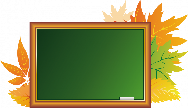 Цитаты про учителей