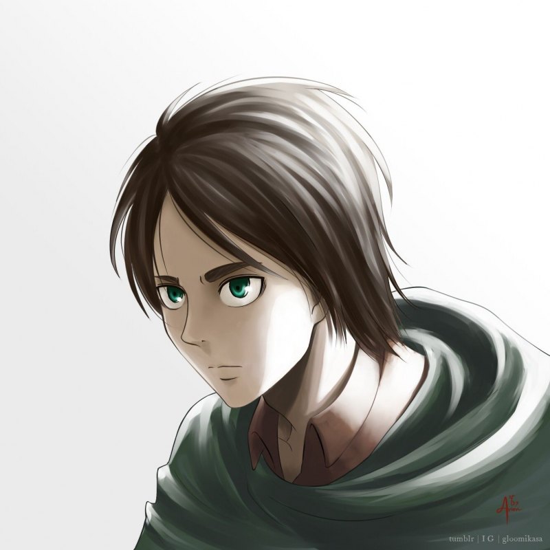 Эрен Йегер взрослый