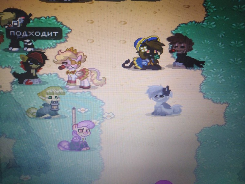 Пони Таун красивые скины