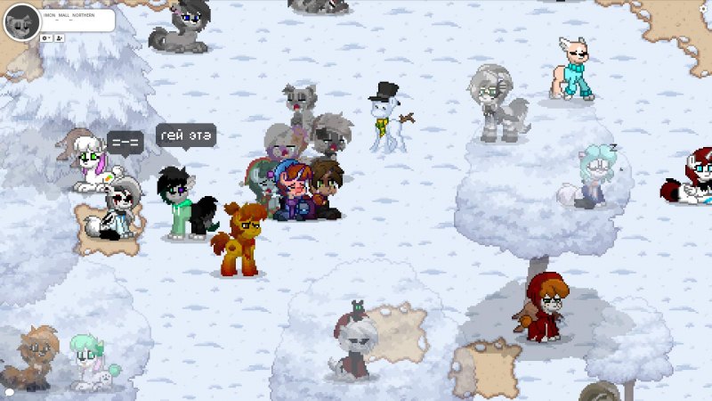 Пони Таун зима