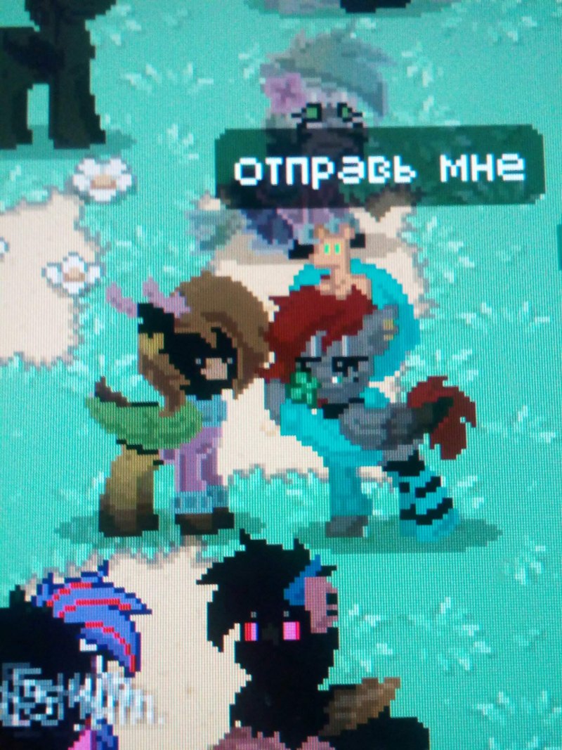 Пони Таун ОС