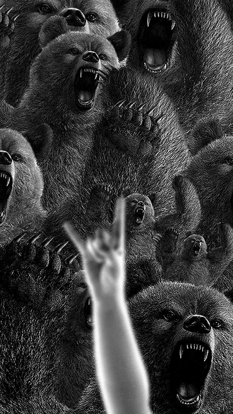 Медведь в гневе