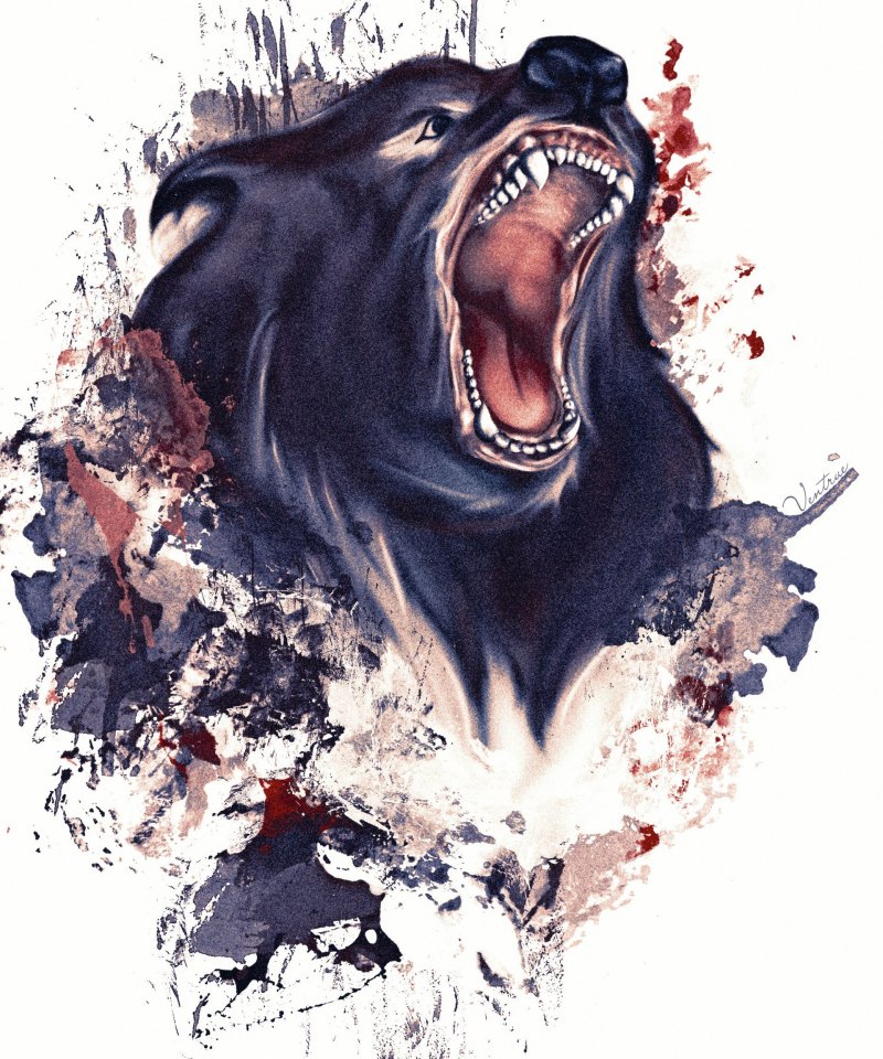 Злой медведь