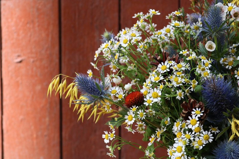 Букеты ромашек с полевыми цветами